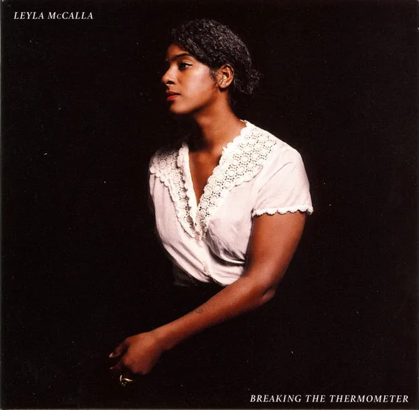 Copertina di Breaking The Thermometer