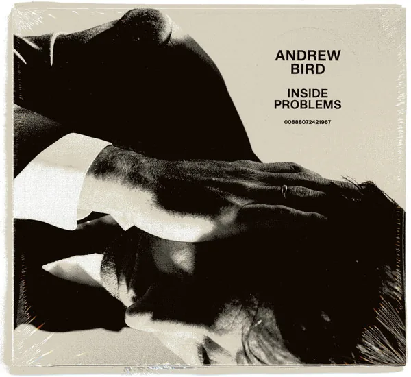 Copertina di Inside Problems