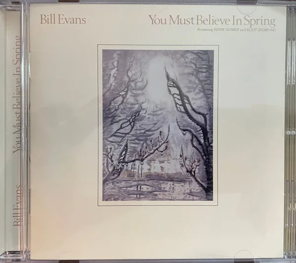 Copertina di You Must Believe In Spring