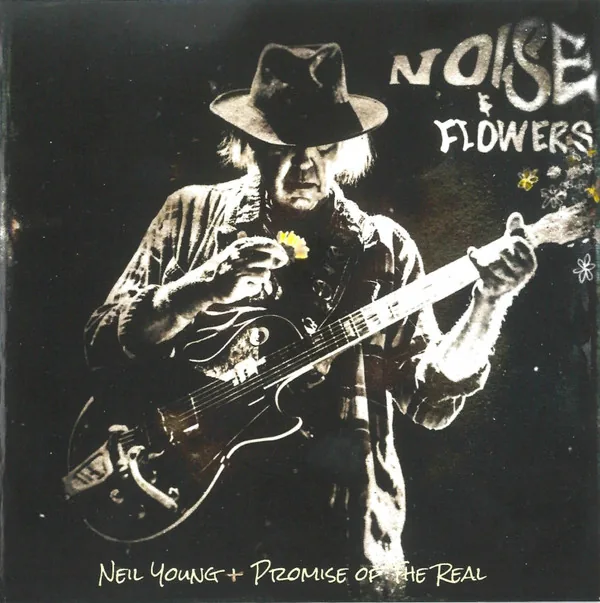 Copertina di Noise & Flowers