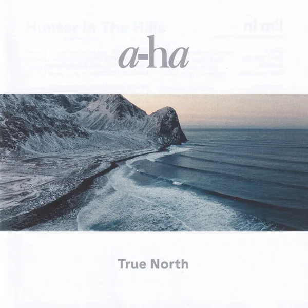 Copertina di True North