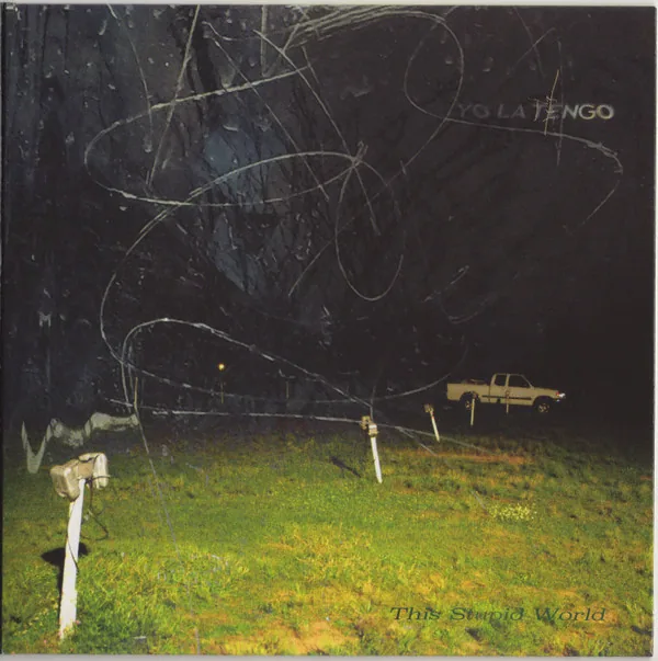 Copertina di This Stupid World