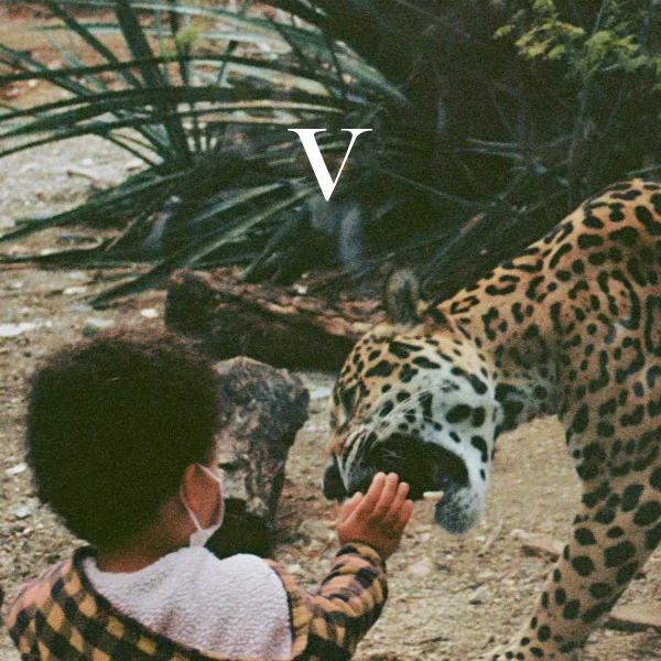 Copertina di V