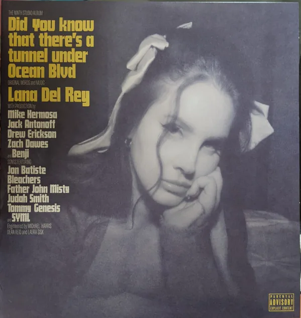 Copertina di Did You Know That There'S A Tunnel Under Ocean Blud