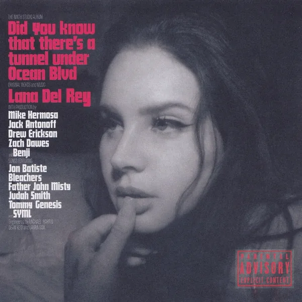 Copertina di Did You Know That There'S A Tunnel Under Ocean Blud