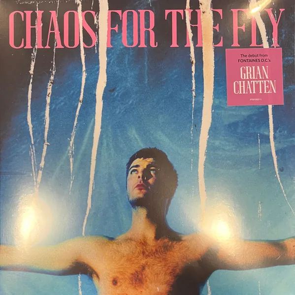 Copertina di Chaos For The Fly