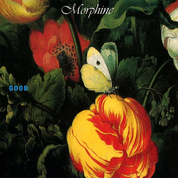 Copertina di Good