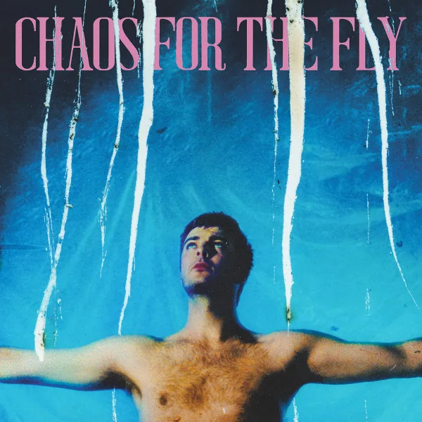 Copertina di Chaos For The Fly