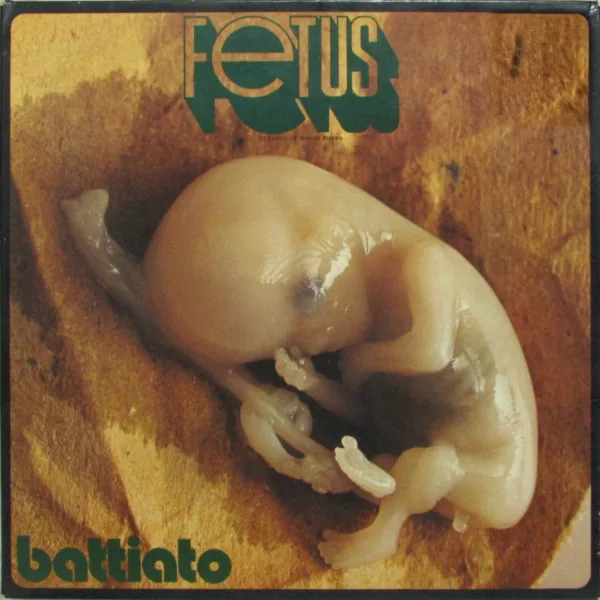 Copertina di Fetus