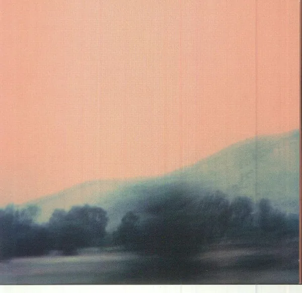 Copertina di Il Viaggio