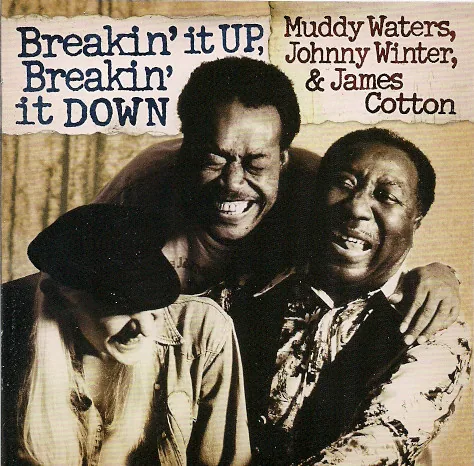 Copertina di Breakin' It Up, Breakin' It Down