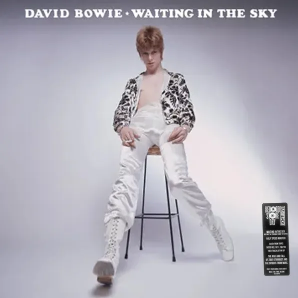Copertina di Waiting In The Sky