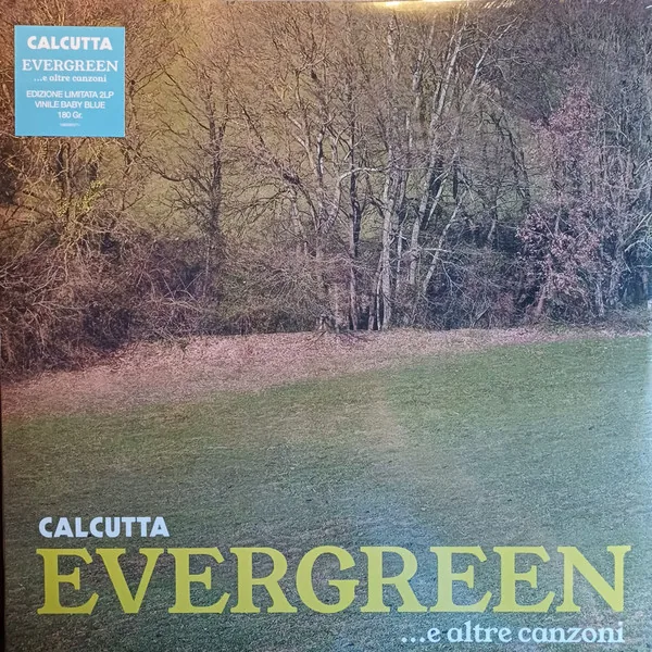 Copertina di Evergreen... E Altre Canzoni