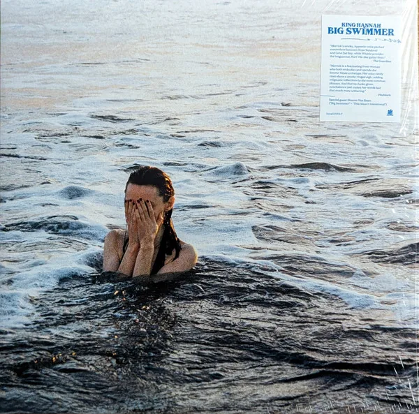 Copertina di Big Swimmer
