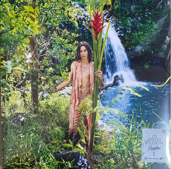 Copertina di La Divina Commedia Paradiso