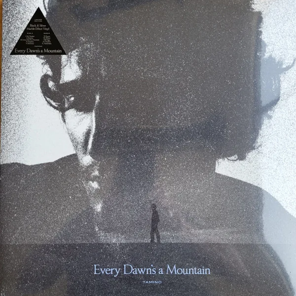 Copertina di Every Dawn'S A Mountain