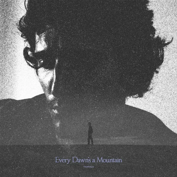 Copertina di Every Dawn'S A Mountain