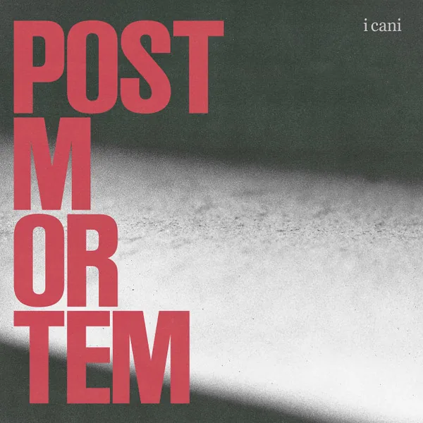 Copertina di Post Mortem
