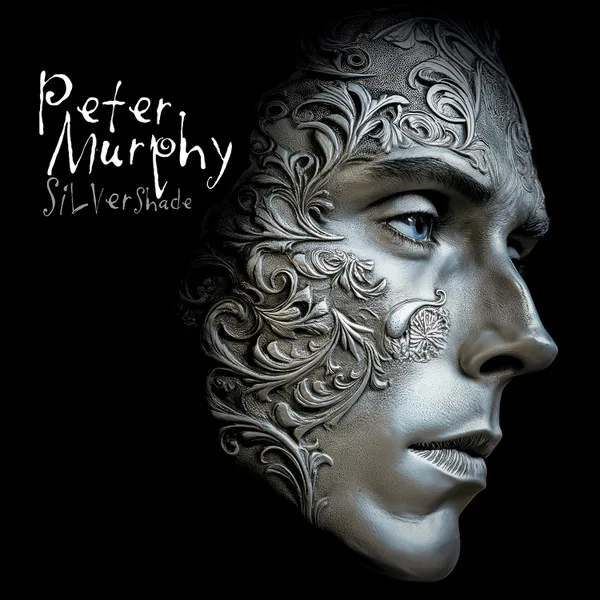 Copertina di Silver Shade