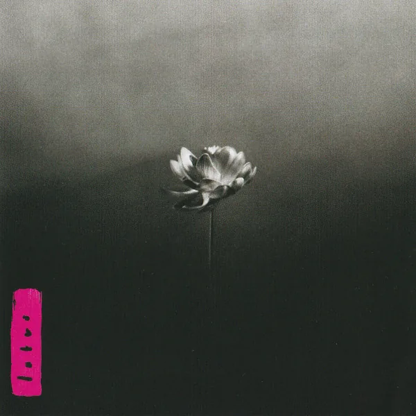 Copertina di Lotus