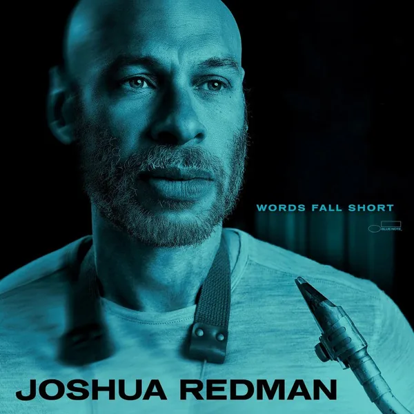 Copertina di Words Fall Short