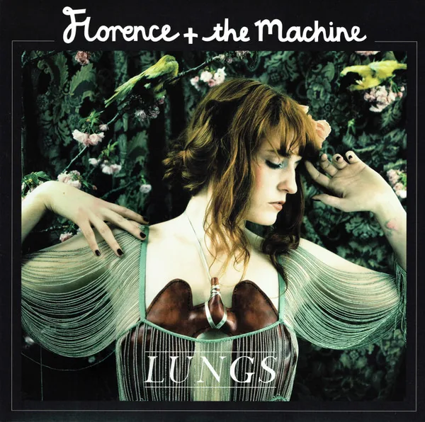 Copertina di Lungs