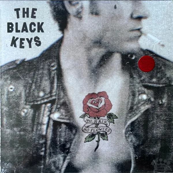 Copertina di No Rain, No Flowers