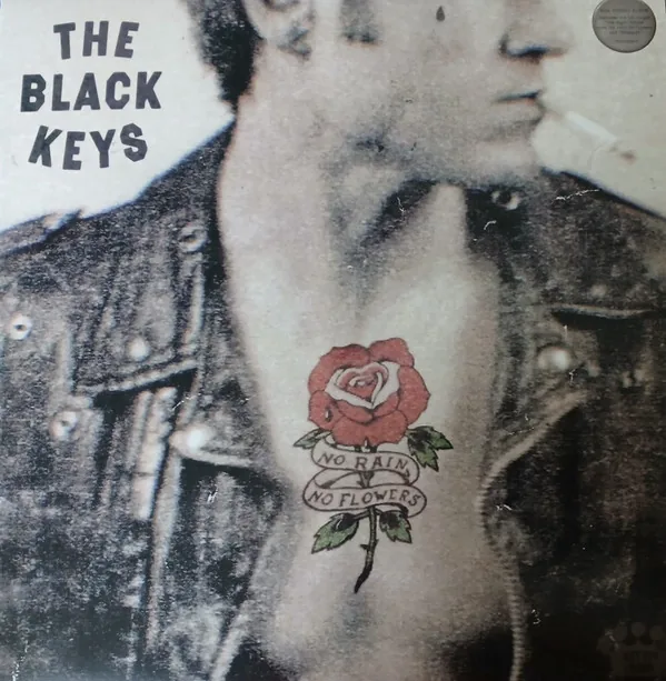 Copertina di No Rain, No Flowers