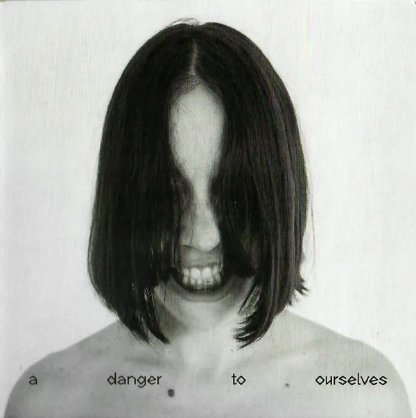 Copertina di A Danger To Ourselves