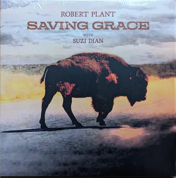 Copertina di Saving Grace