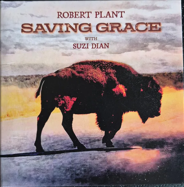 Copertina di Saving Grace