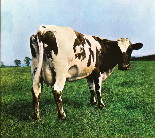 Copertina di Atom Heart Mother