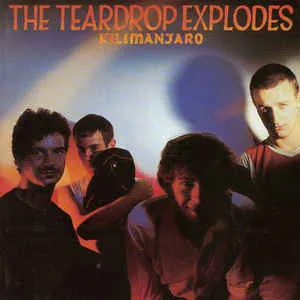 Copertina di Kilimanjaro