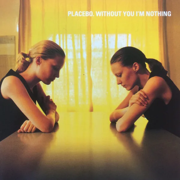 Copertina di Without You I'M Nothing