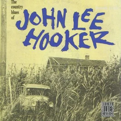 Copertina di The Country Blues Of J.Lee.Hooker