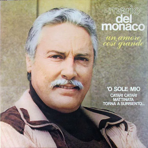 Copertina di Un'Amore Così Grande