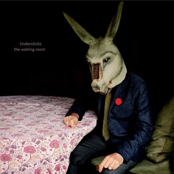 Copertina di The Waiting Room