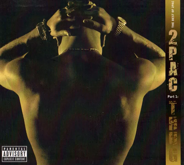 Copertina di The Best Of - Part 1: Thug