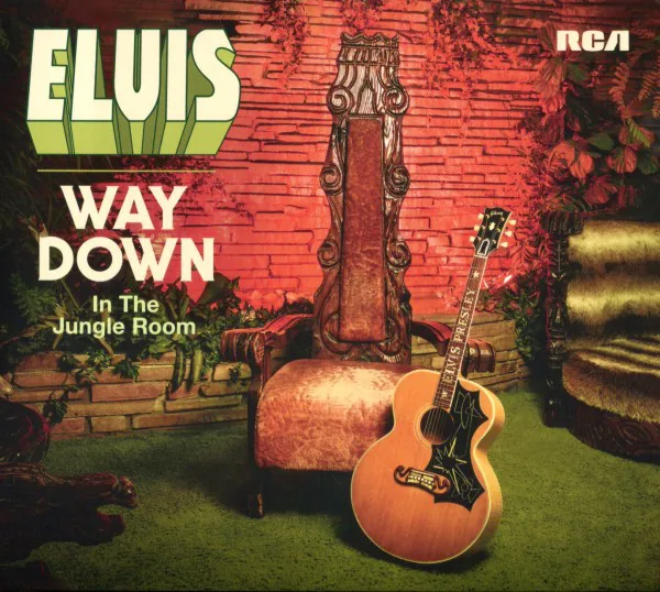 Copertina di Way Downin The Jungle Room