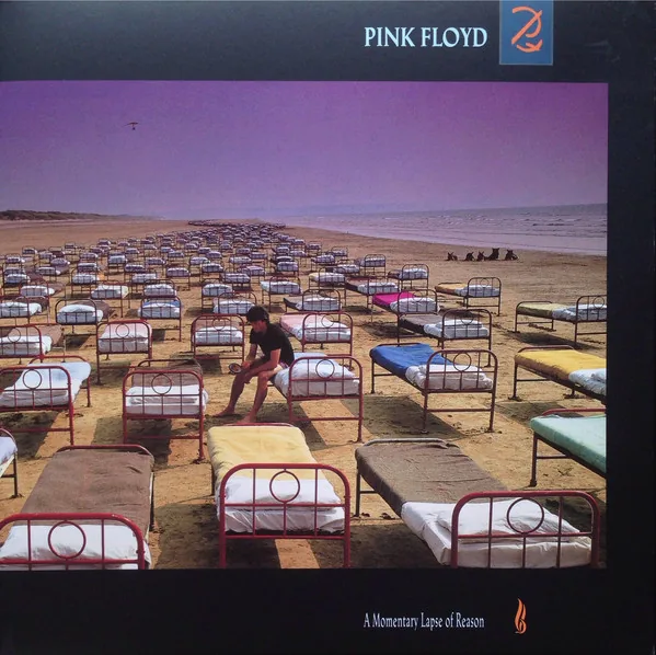 Copertina di A Momentary Lapse Of Reason