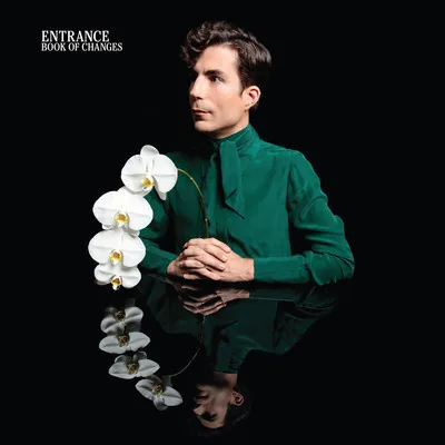 Copertina di Book Of Changes