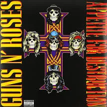Copertina di Appetite For Destruction