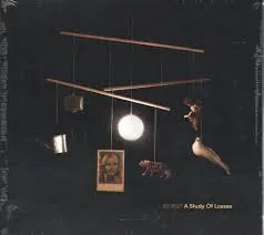 Copertina di A Study Of Losses