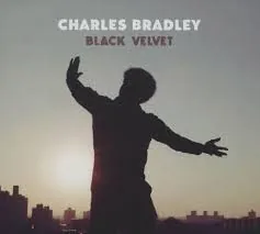Copertina di Black Velvet