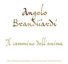 Copertina di Il Cammino Dell'Anima