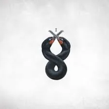 Copertina di The Cormorant I