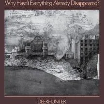 Copertina di Why Hasn'T Everything Already Disappeared