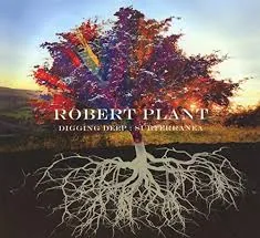 Copertina di Digging Deep : Subterranea