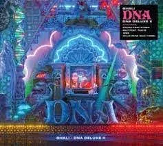 Copertina di Dna Deluxe X
