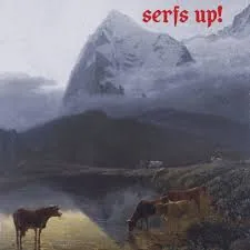 Copertina di Serfs Up!
